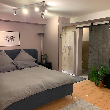 Top Studio Appartement Im Gruenen Nah Phantasialand Брюль Екстер'єр фото