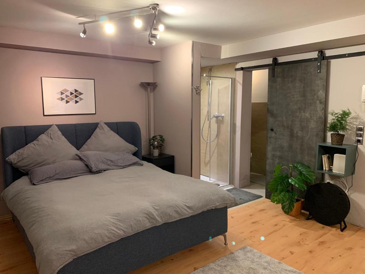 Top Studio Appartement Im Gruenen Nah Phantasialand Брюль Екстер'єр фото